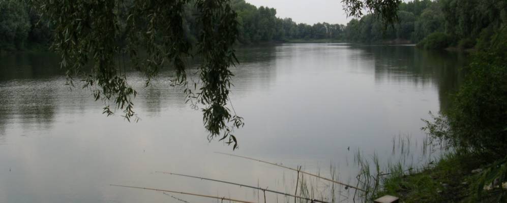 
            Фотография Вершины