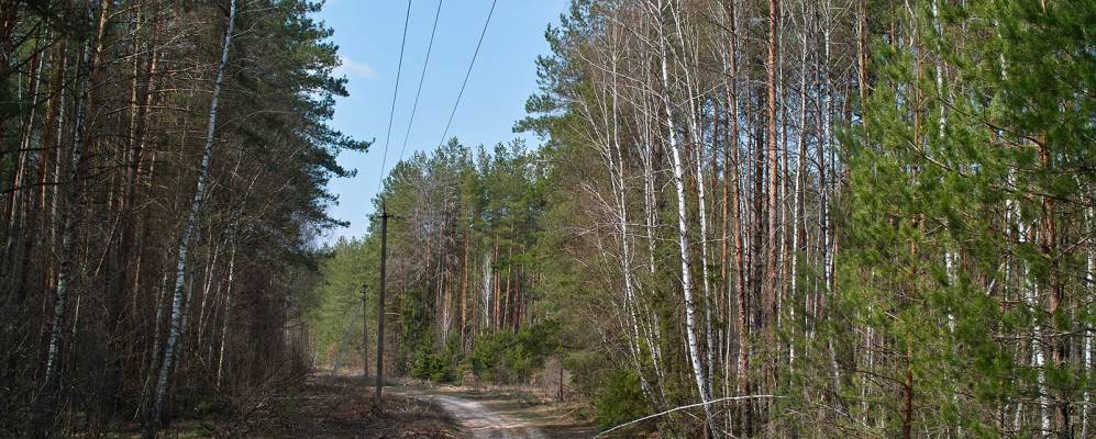 
            Фотография Привольного