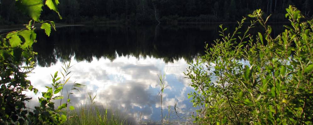 
            Фотография Глинки