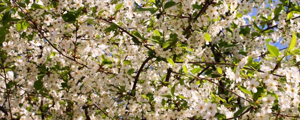 
            Фотография Островов