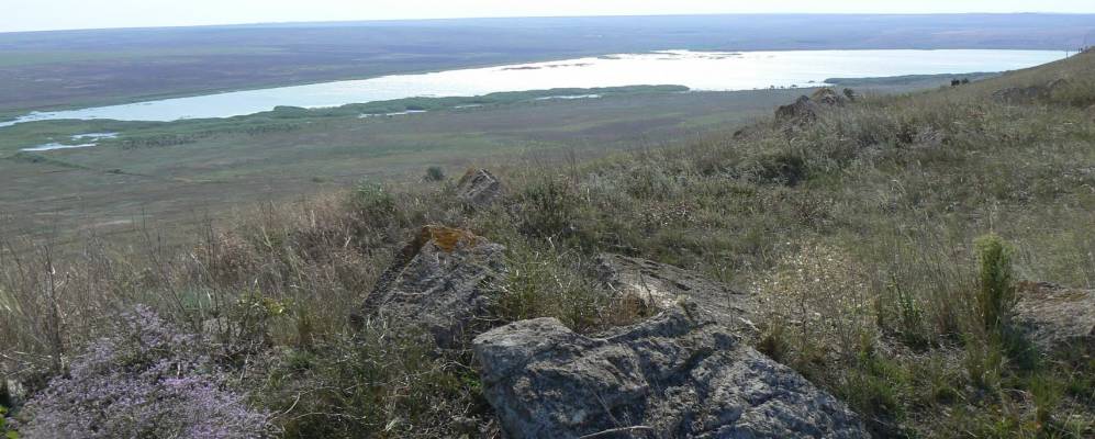 
            Фотография Дорошенково