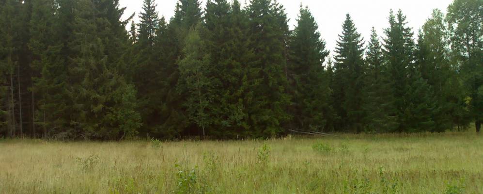 
            Фотография Чернцов