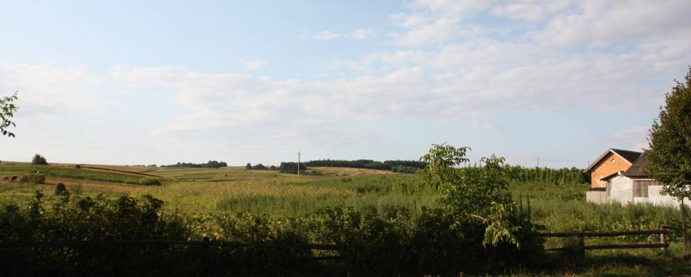 
            Фотография Писаревки