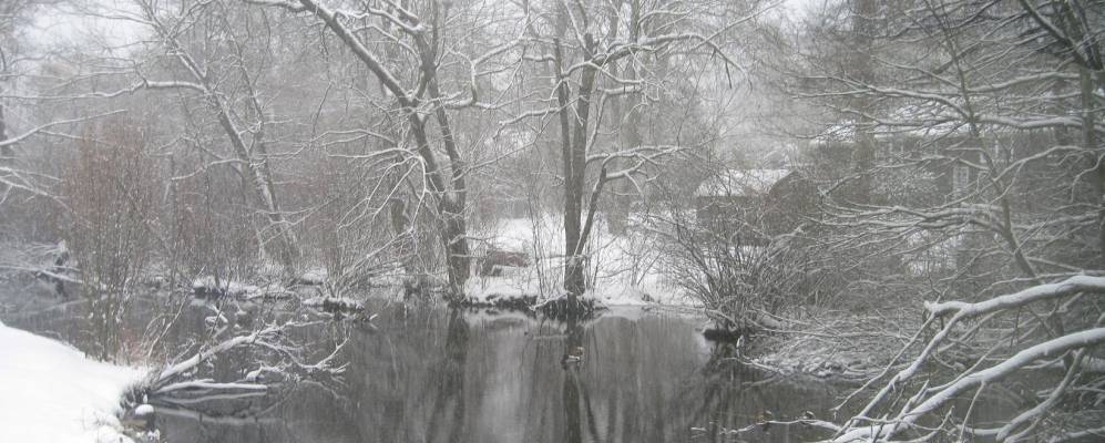 
            Фотография Брухейвна