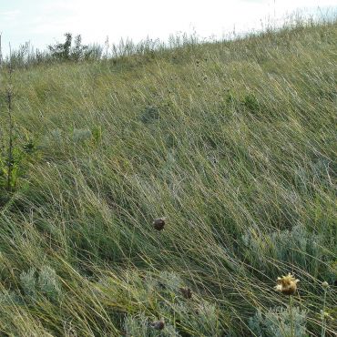 Захарченко