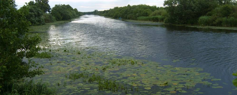 
            Фотография Воробьевки