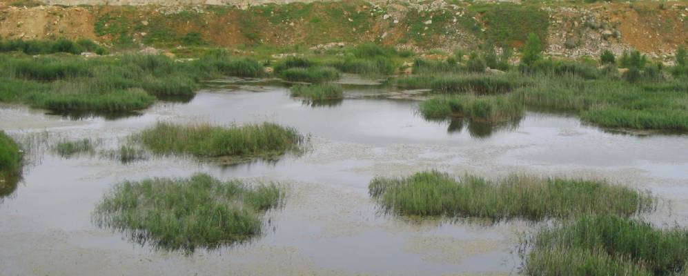 
            Фотография Софиевки