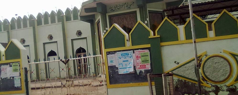 
            Фотография Аколы