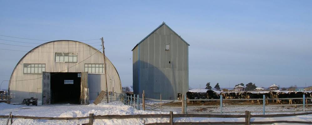 
            Фотография Минино