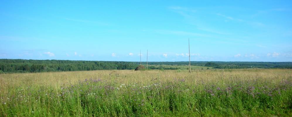 
            Фотография Одинцово