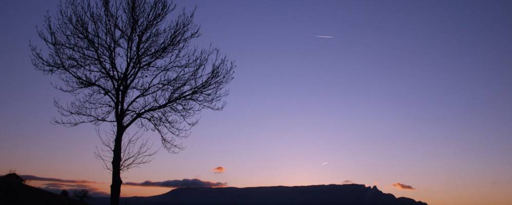 
            Фотография Пюньи-Шатено