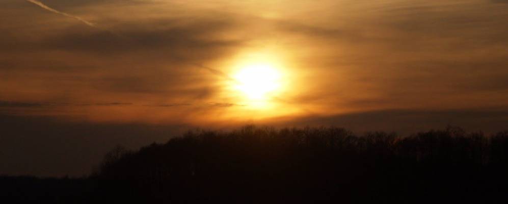 Фотография Зубринки