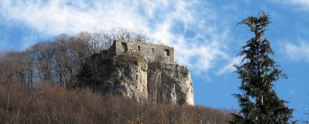 
            Фотография Хойбаха