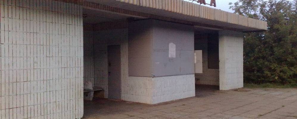 Фотография Пущи