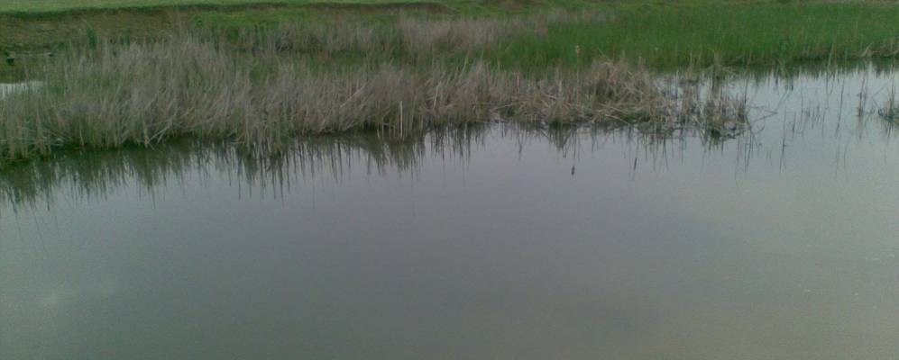 
            Фотография Цияб-Ичичалей