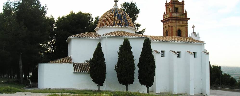 
            Фотография Чивы