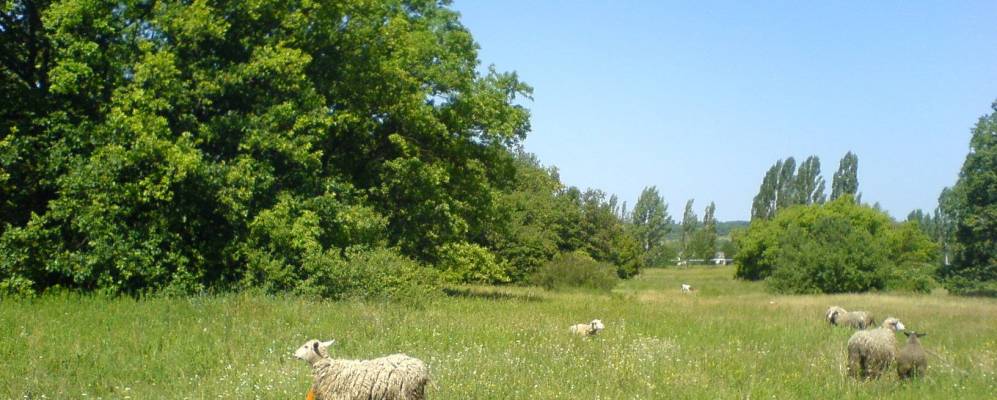 
            Фотография Бондарного