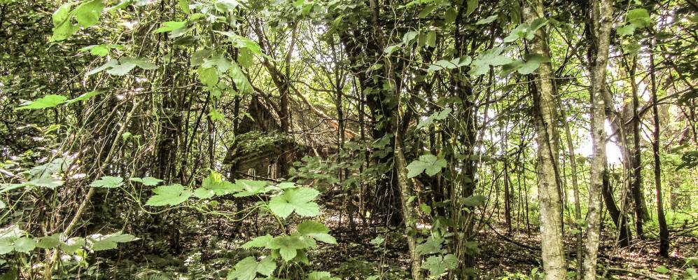 
            Фотография деревни Рудицы