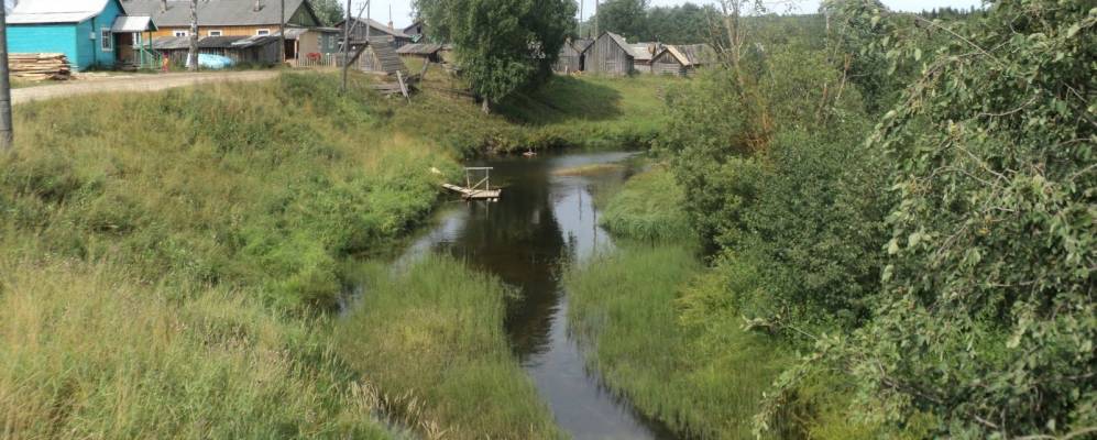 
            Фотография Олеховской