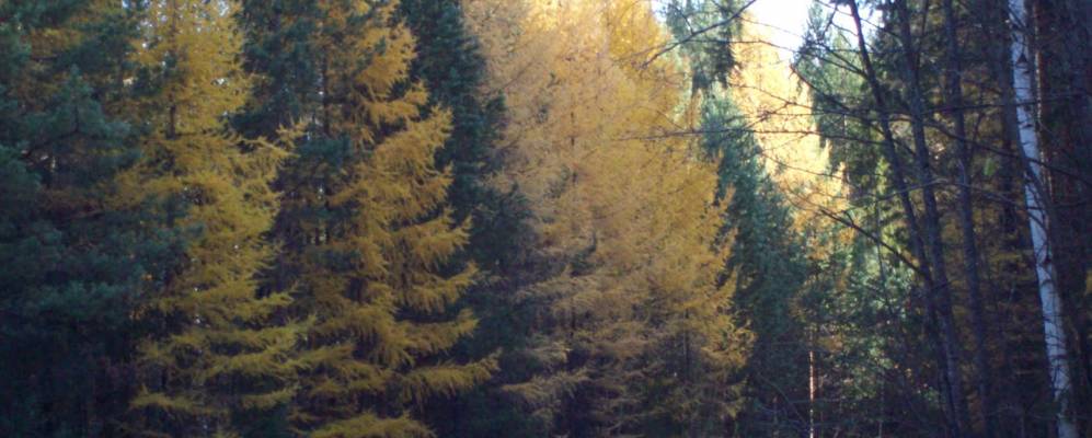 
            Фотография Коптяков