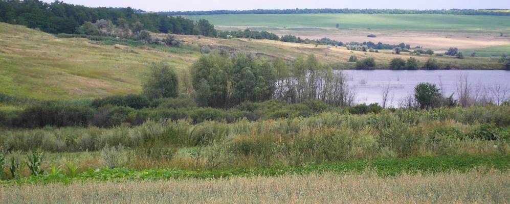 
            Фотография Надии