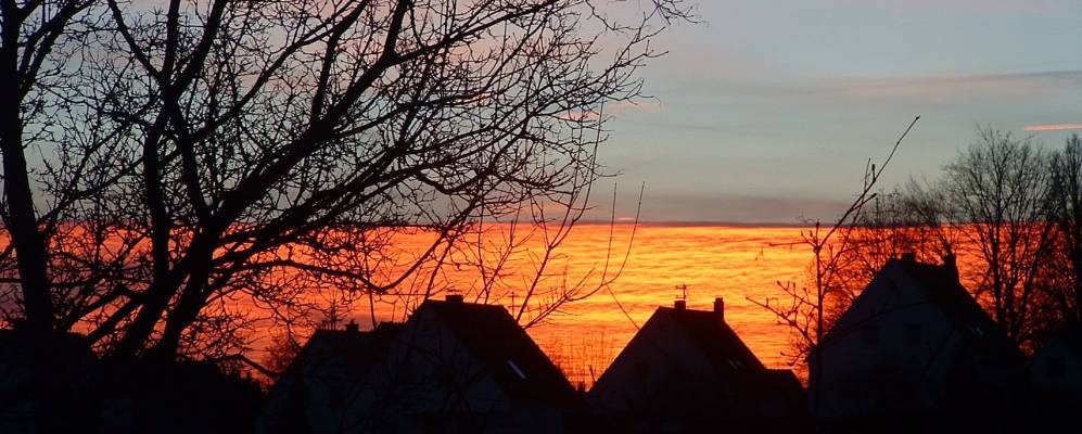 
            Фотография Баххагель