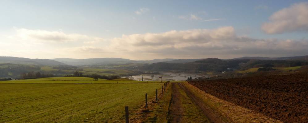 
            Фотография Лойна