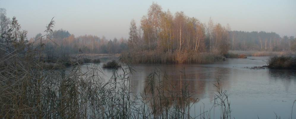 
            Фотография Бубен