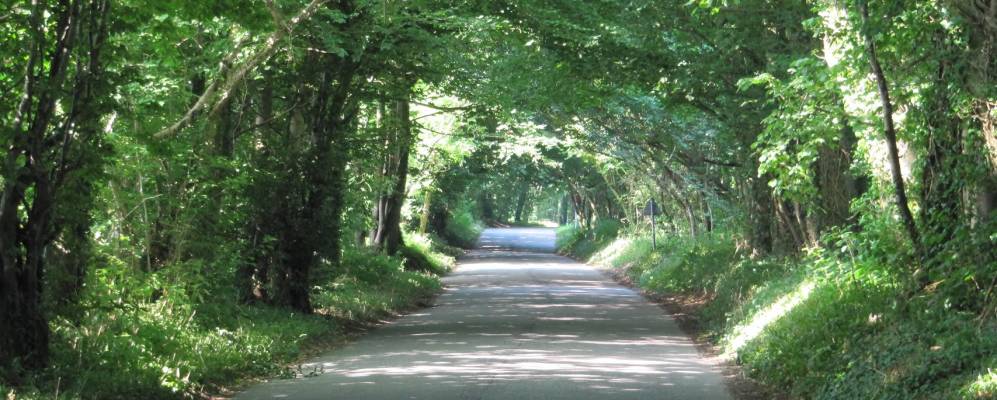 Фотография Монктона