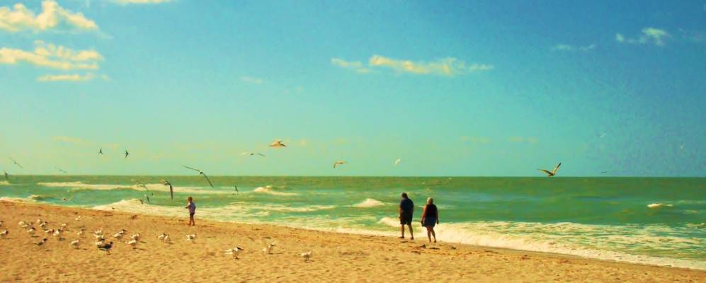 
            Фотография Ибела