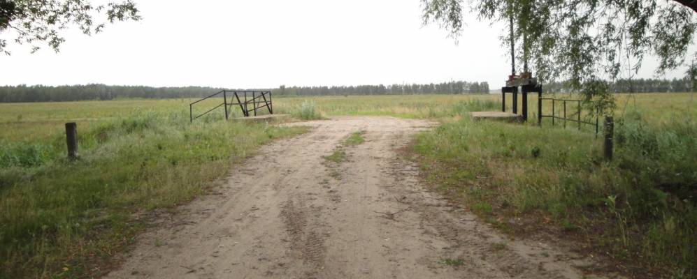 
            Фотография Медведицы