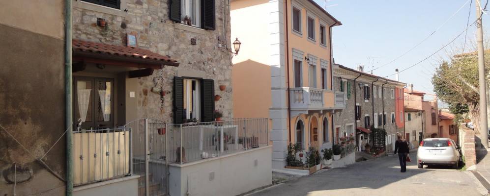 Фотография Помая