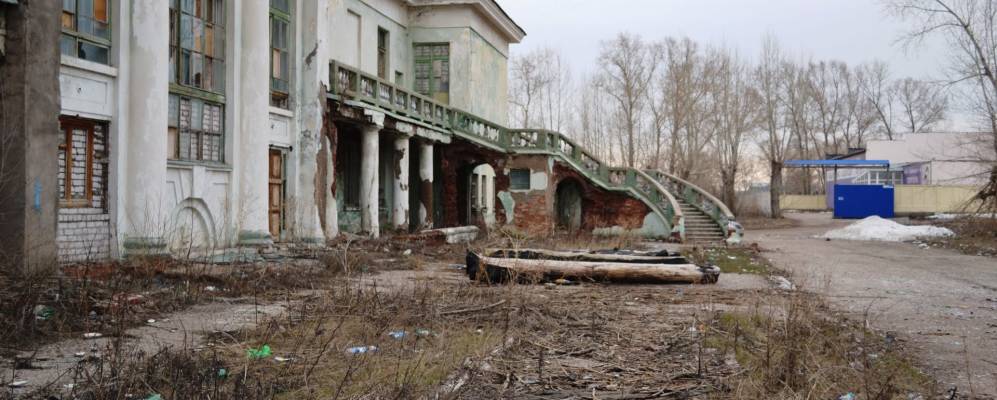 
            Фотография Муравья