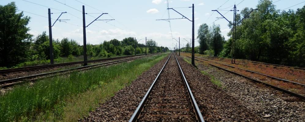 
            Фотография Гребишева