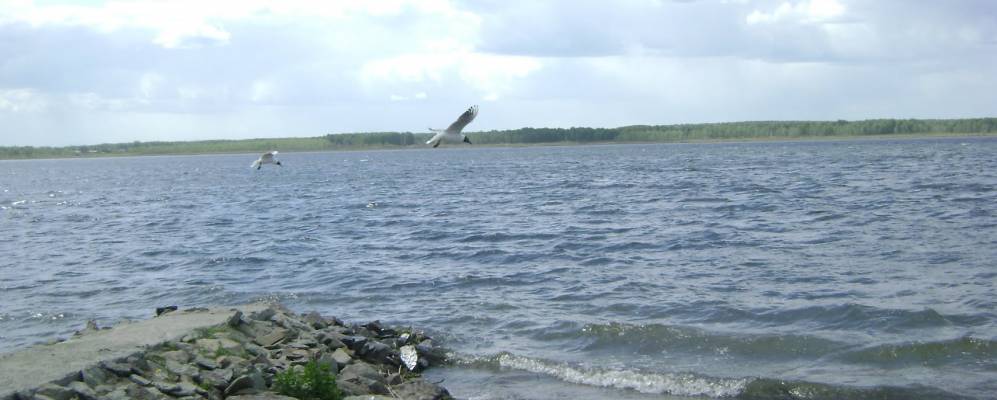 
            Фотография Утябаева