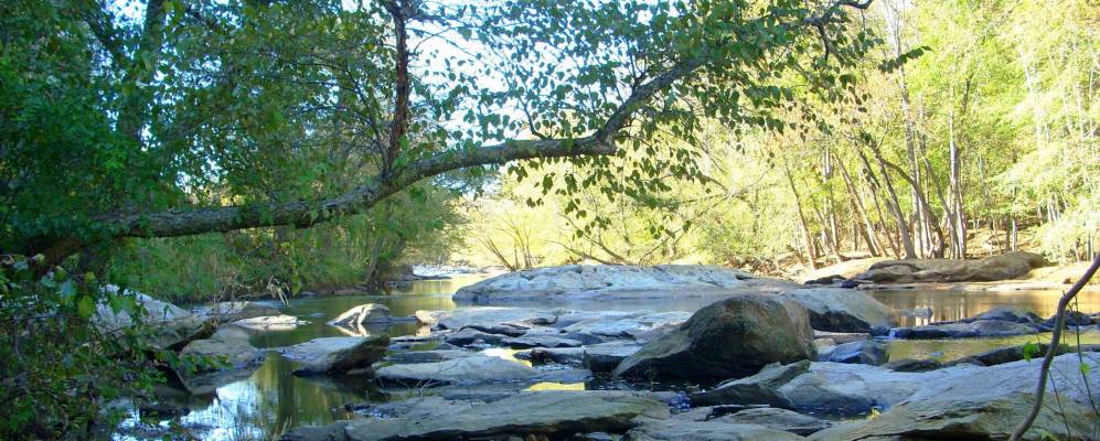 
            Фотография Рандлемана