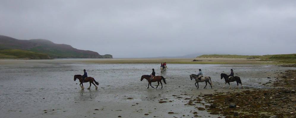 
            Фотография Данфанахи