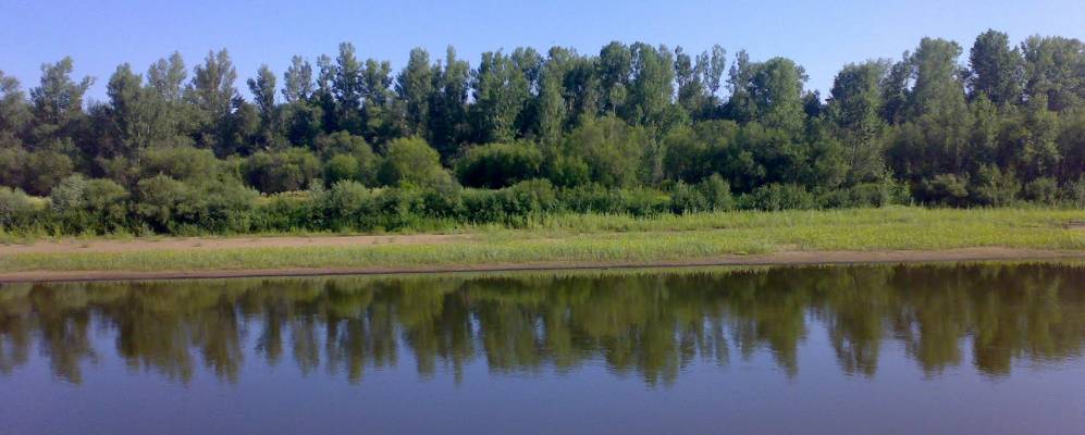 Фотография Карманкино