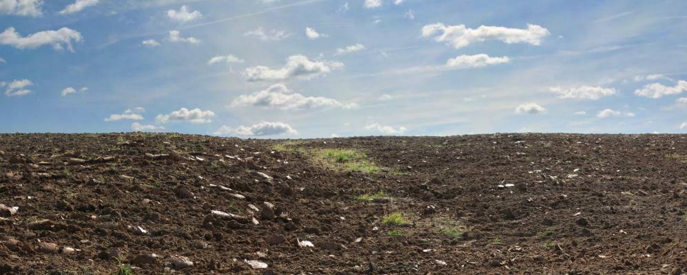 
            Фотография Мордово