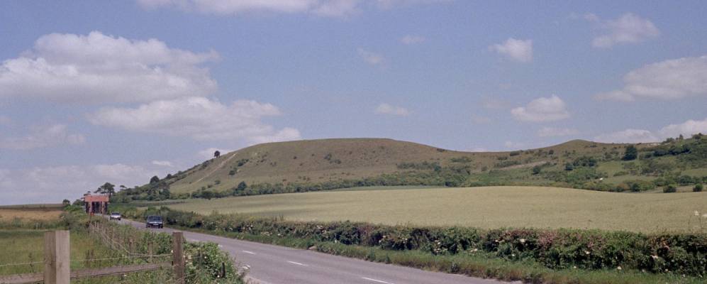 
            Фотография Ивинго