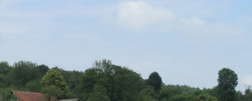 
            Фотография Линии