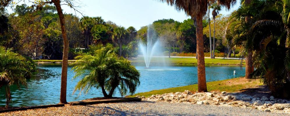 
            Фотография Лонгбот Ки