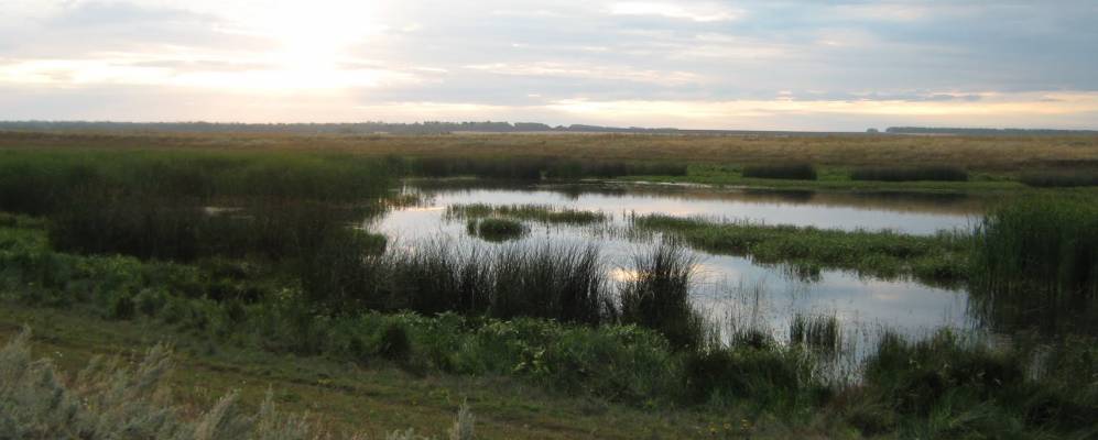 
            Фотография Нового Сантимира