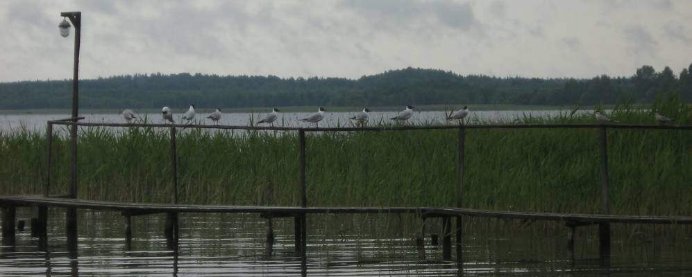 Фотография Фомино