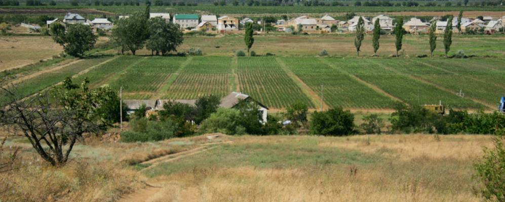 
            Фотография Рассадного