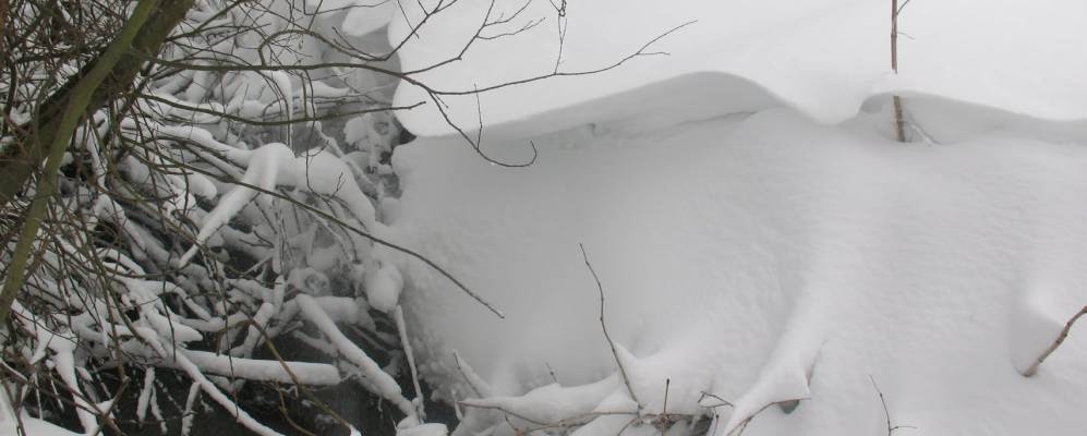 
            Фотография Должки