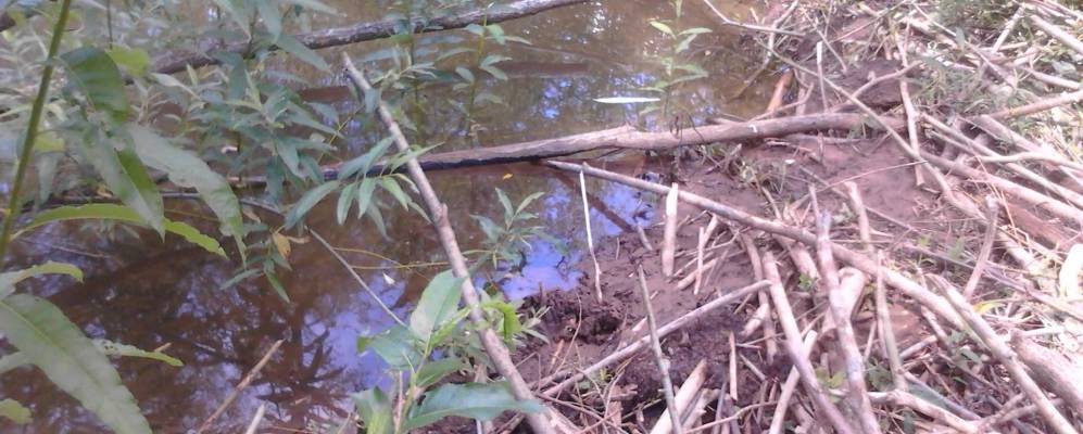 Фотография Мартыновцев