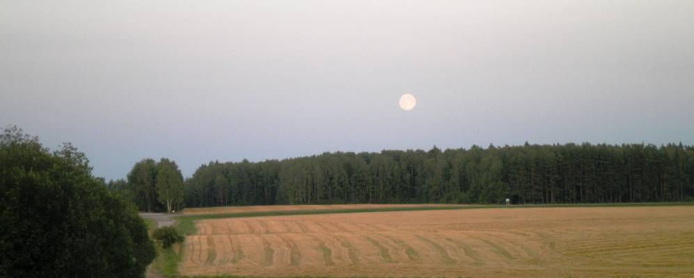 Фотография Жутино