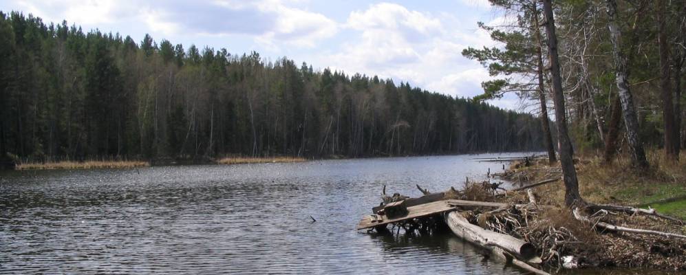 
            Фотография Александро-Ерши