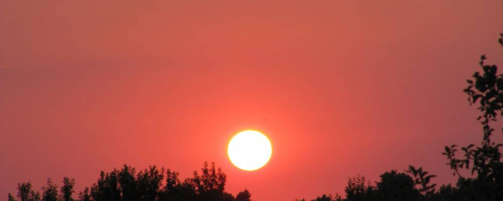 
            Фотография Летников